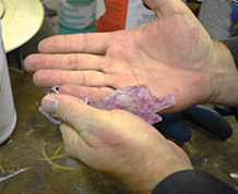 Hand Care