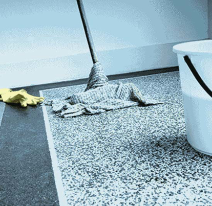 coco ぺージ Ecolution® Floor Stripper - Fragrance Free - 5 GL pail