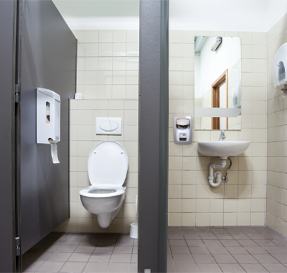 Bathroom Cleaning: Toilet Bowl, Fiberglass Tub, Tiles
