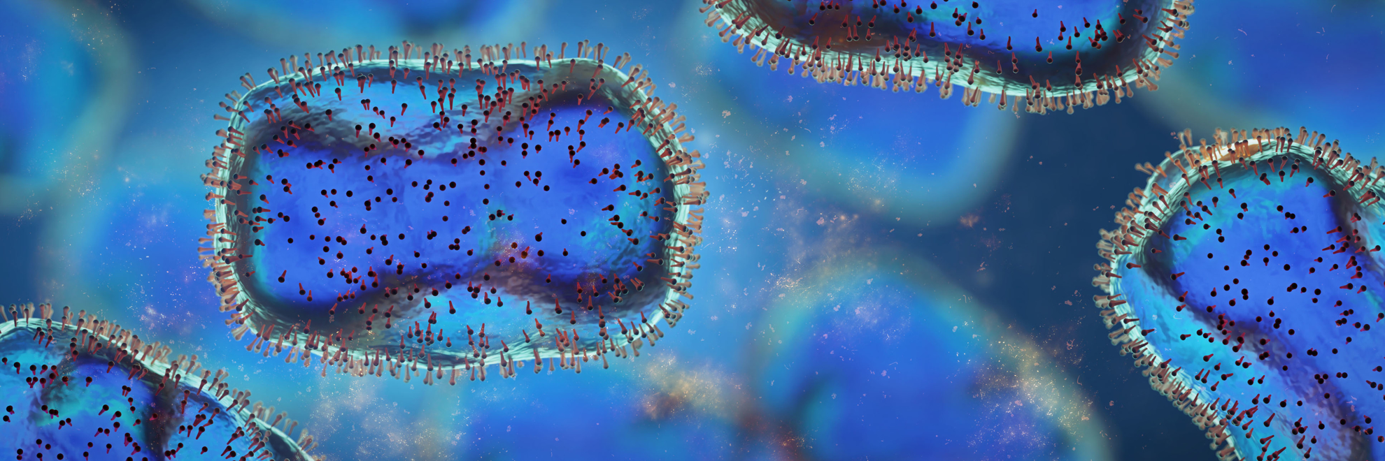 Monkeypox: Information and Our Solutions