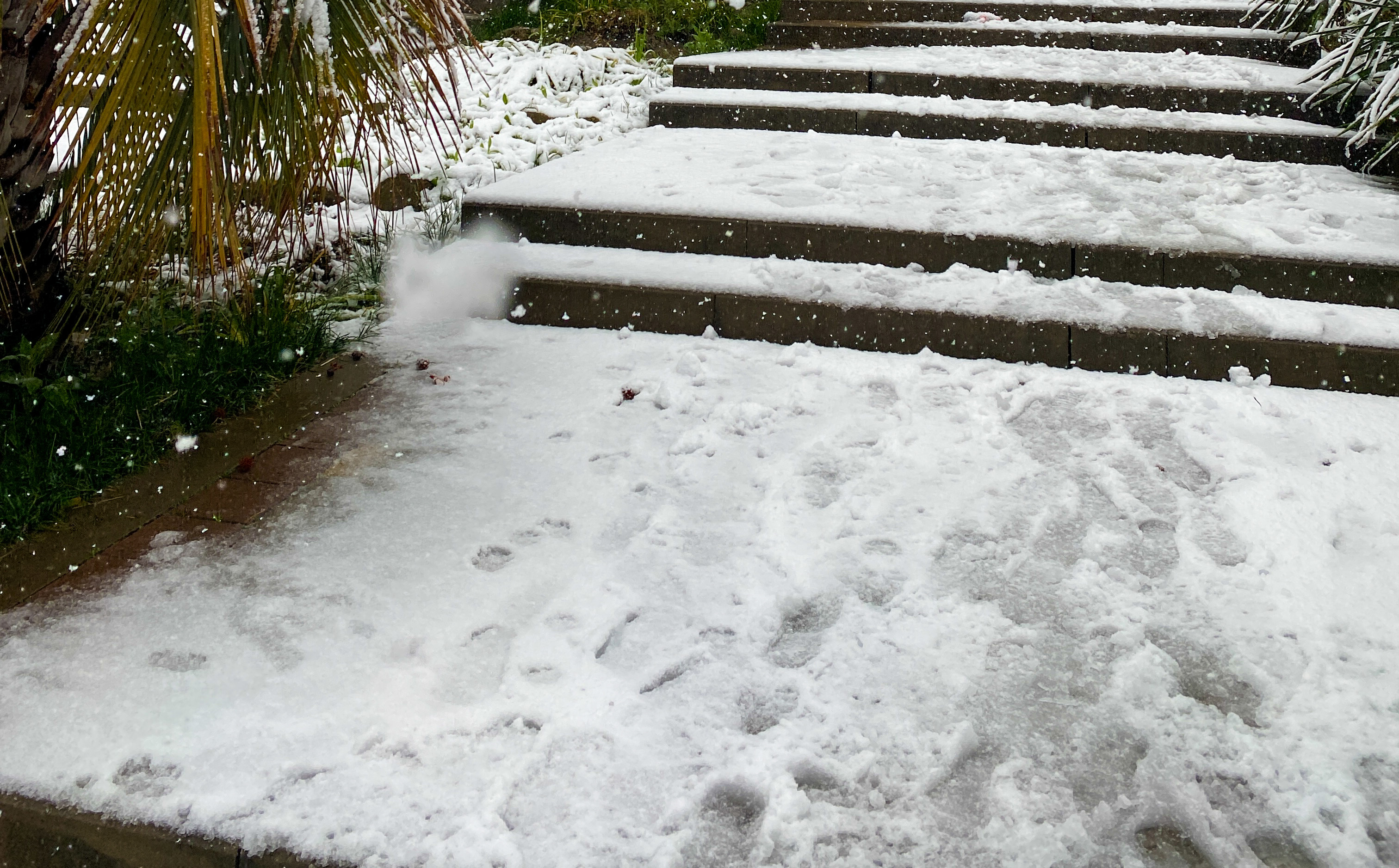 Snowy Stairs