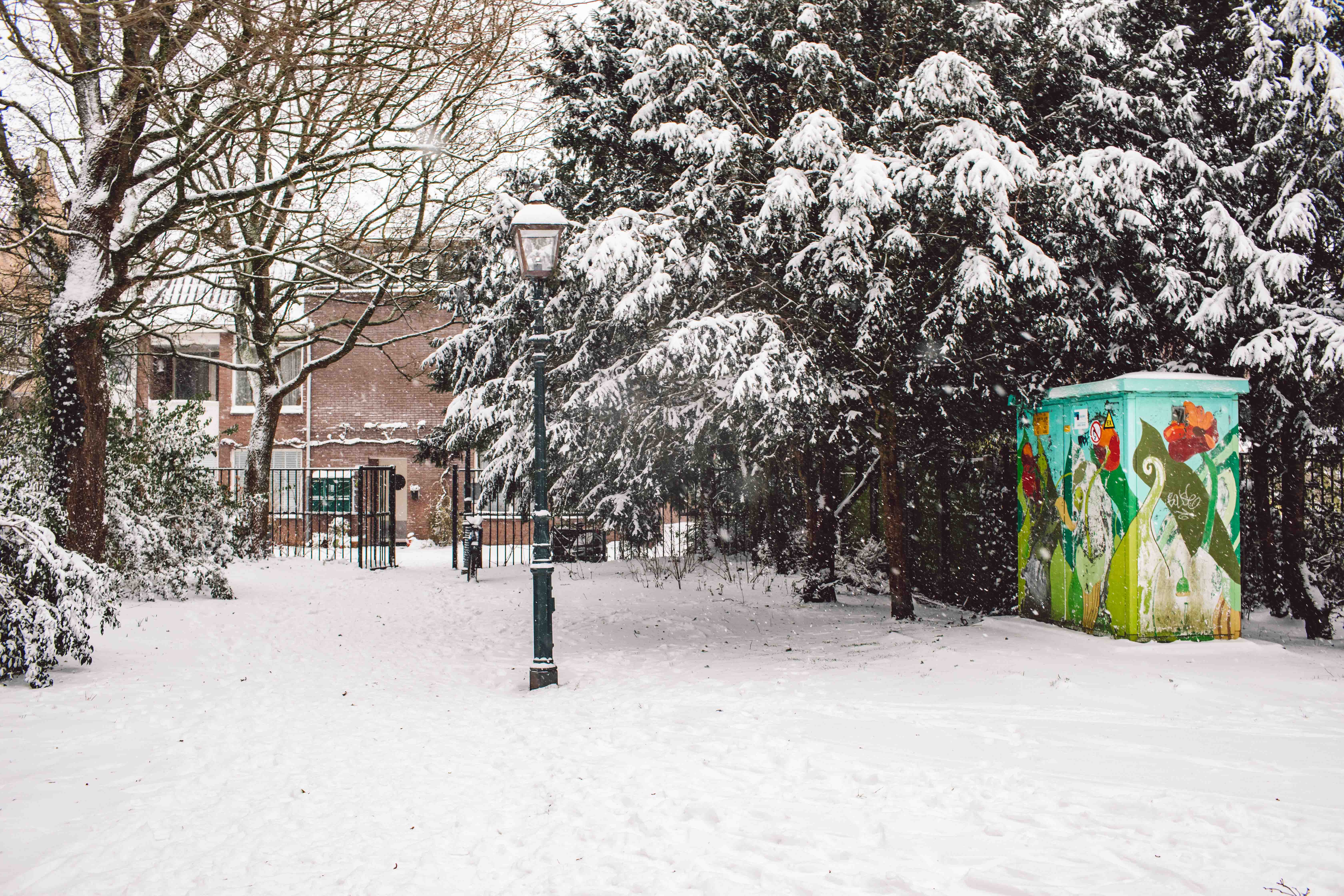 Snowy Sidewalk
