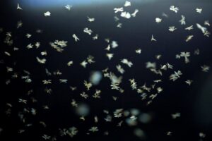 Money bills floating and falling through dark space representing financial waste or rising costs